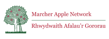 Marcher Apple Network