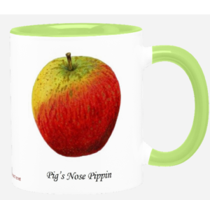 MAN Pig's Nose Pippin mug - MAN members' price