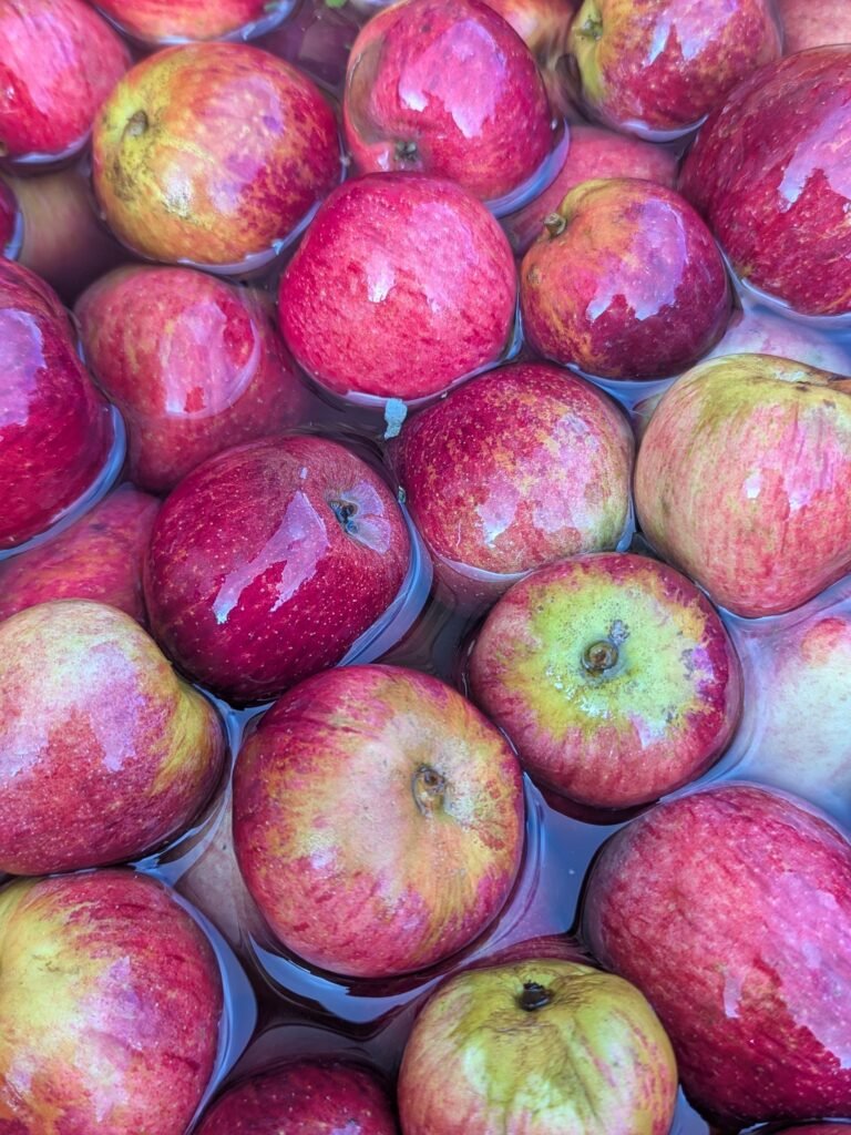 Mere de Menage in water