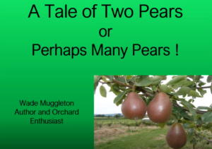 A Tale of Two Pears