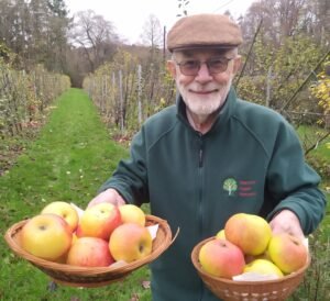 Ainsleigh with Rymer on left and Bramley's Seedling on right