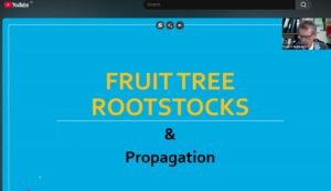 FP Matthews Rootstock Video