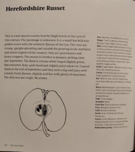 Herefordshire Russet text information including history