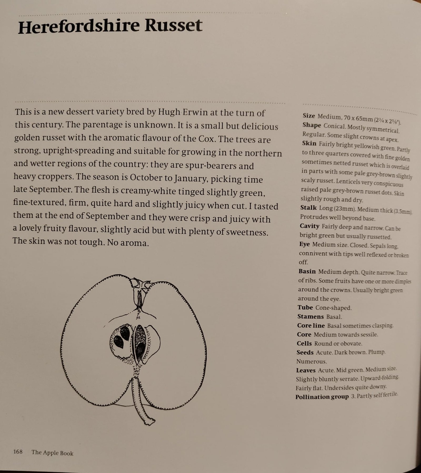 Herefordshire Russet text information including history
