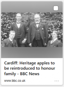 Cardiff: Heritage apples to be reintroduced to honour family - BBC News